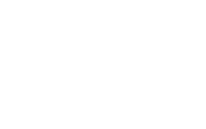 THE NEW BASICS COLLECTION.